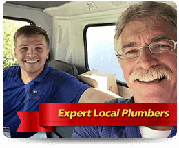 Experts
